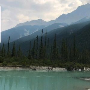 Meet your Posher, Flor